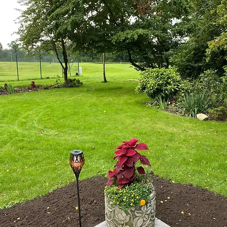 Apartament Romantic Greenhouse Syke